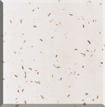 CYR006